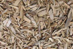 biomass boilers Ilston